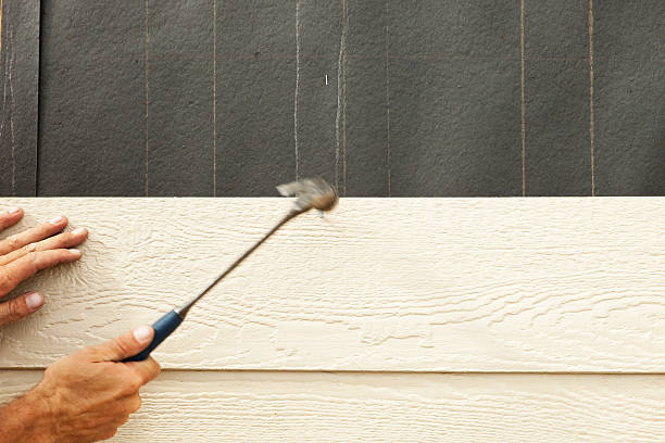 Best Brick Veneer Siding  in Mount Airy, GA